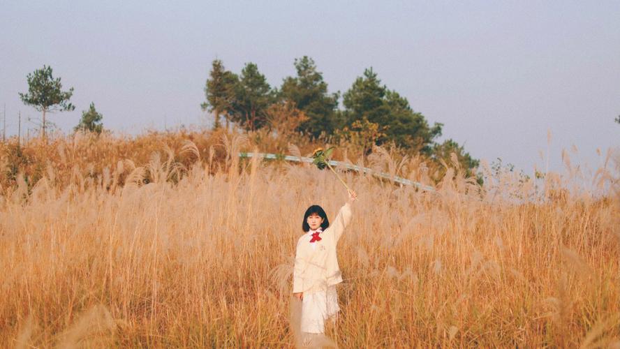 芦苇荡-简约清新风服饰搭配