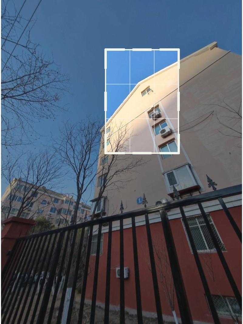 尝试不同的拍摄角度