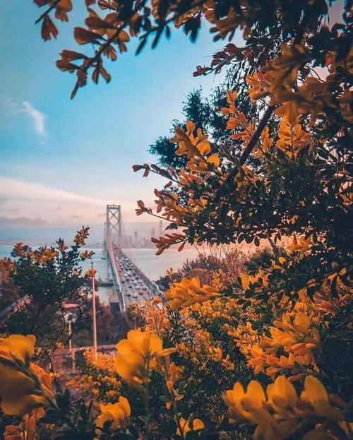 借助前景与背景的搭配增强画面层次感