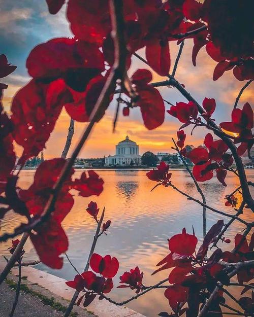 拍照怎么才能上镜？简单的构图知识