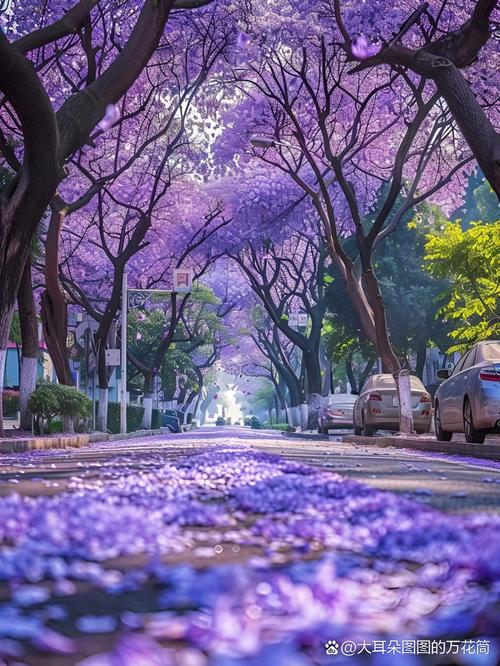 紫色调对气质的影响