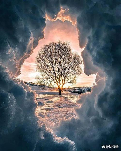 拍照怎么拍上半身？构图方法有哪些