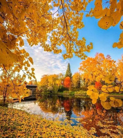 拍照怎么拍上半身？构图方法有哪些