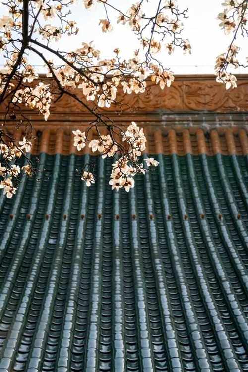 留白构图营造意境