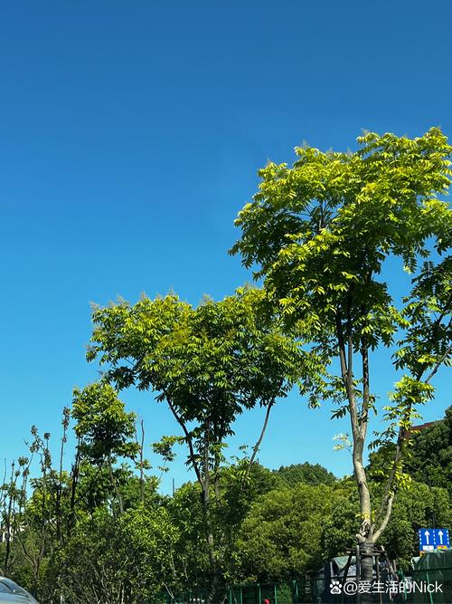 利用不同天气营造生活氛围