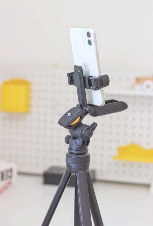 合理运用道具辅助显脸小显瘦