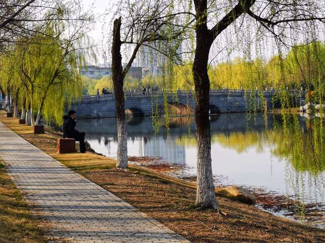 初学摄影师怎么开始学？在线教程能学会吗