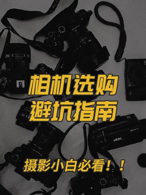 初中生学摄影怎么样？要不要买相机