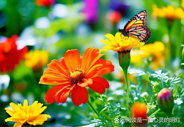 漫步姿态尽显灵动