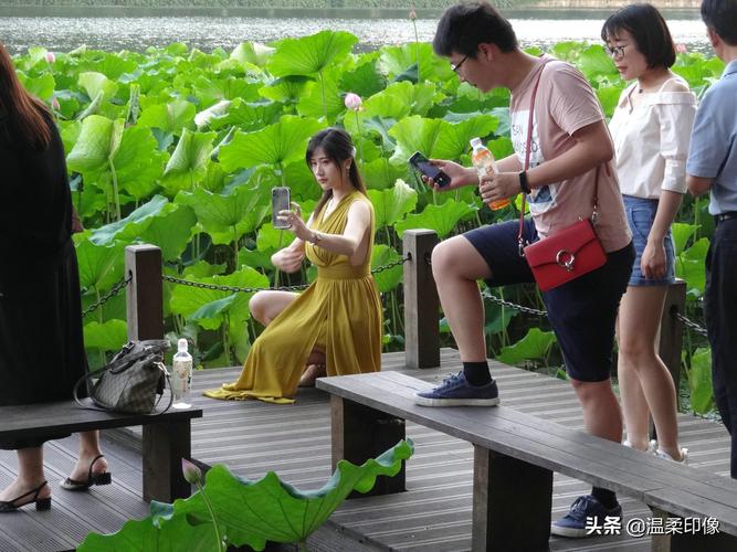 查看摄影师的口碑评价