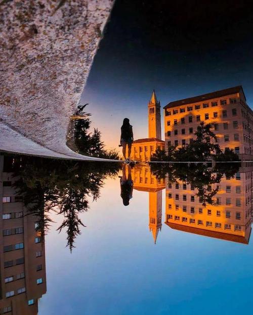 静物摄影照片怎么拍？怎么构图好看