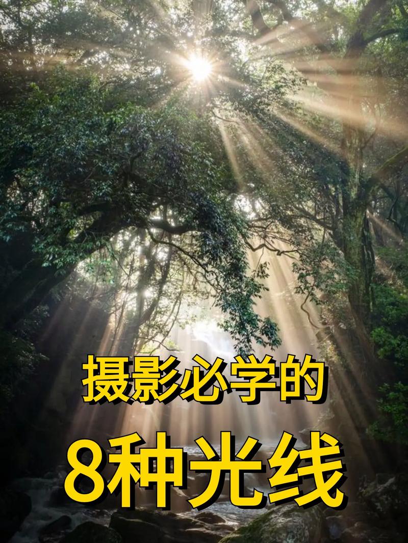 自学摄影怎么开始？从哪些开始学