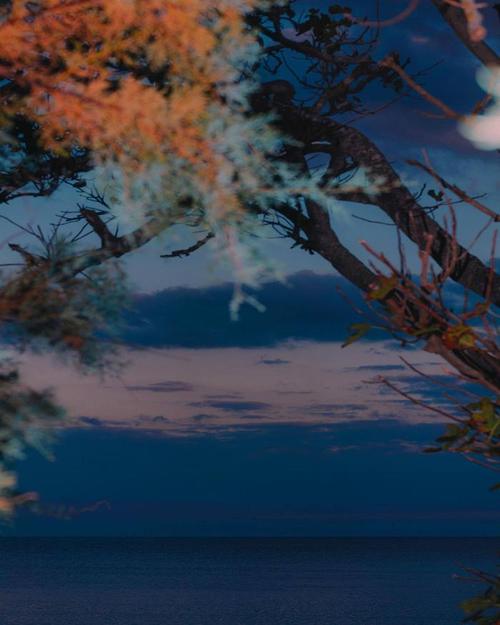 专拍景色的照相软件有哪些？能拍出高级感的手机软件