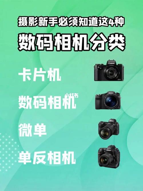 自己怎么考摄影证？要不要报培训班