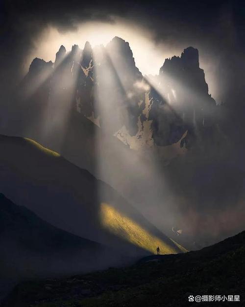 紫色背景照片怎么拍?有没有直接换背景的软件