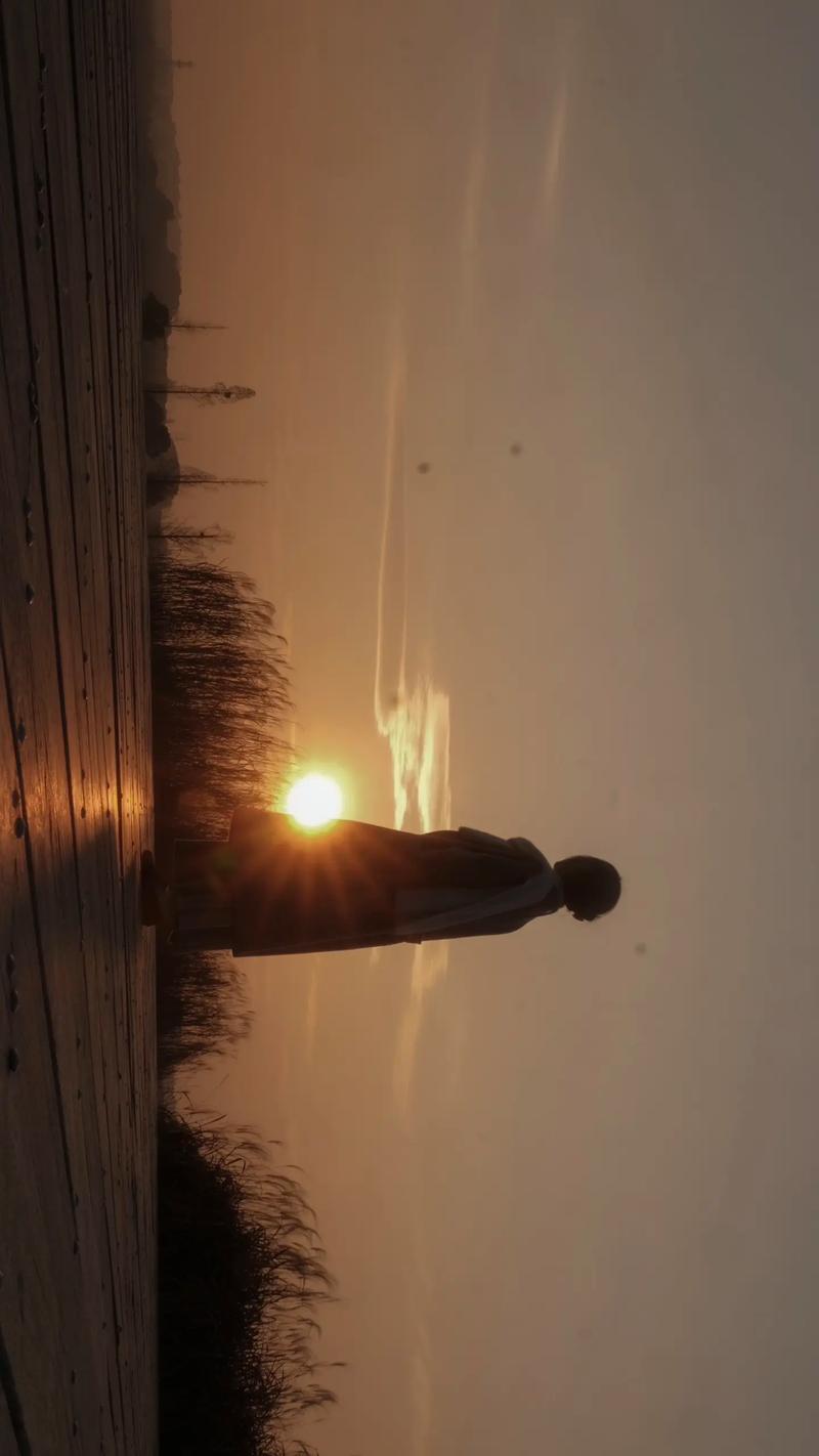 专业修图神器,最强拍照技巧