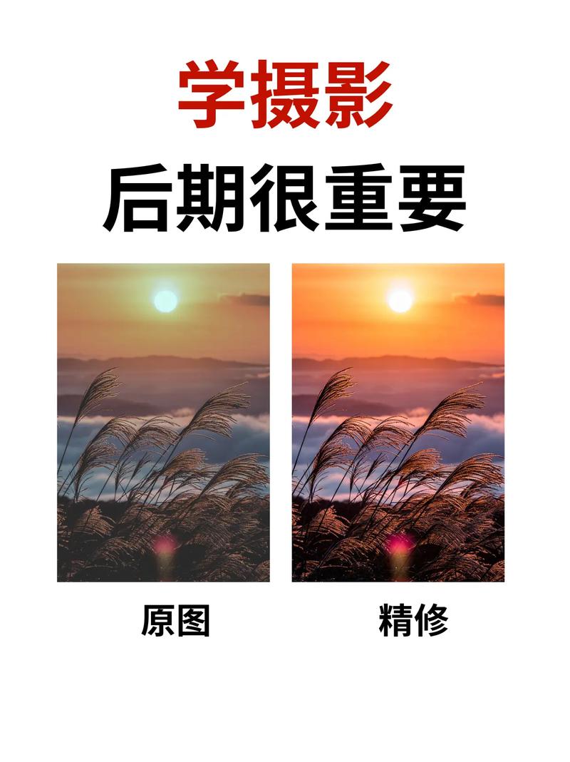 后期调整优化照片