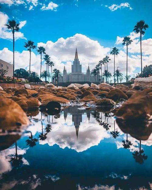 紧凑构图适合突出群体主体细节的场景