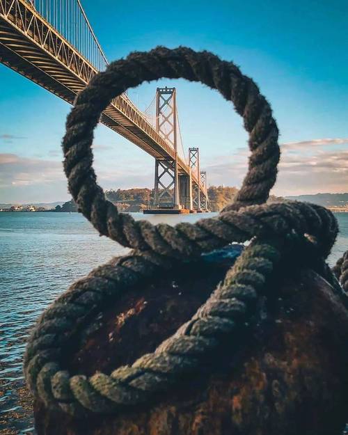 对比构图适合强化主体特点的场景