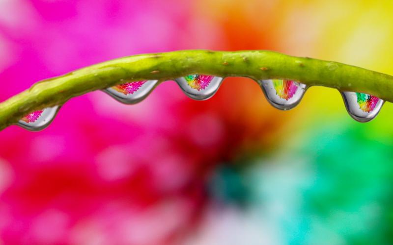 利用水珠增添灵动之感