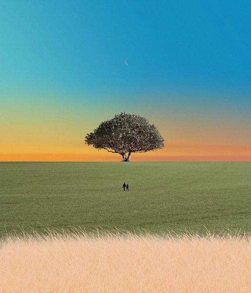 注重色彩搭配与对比