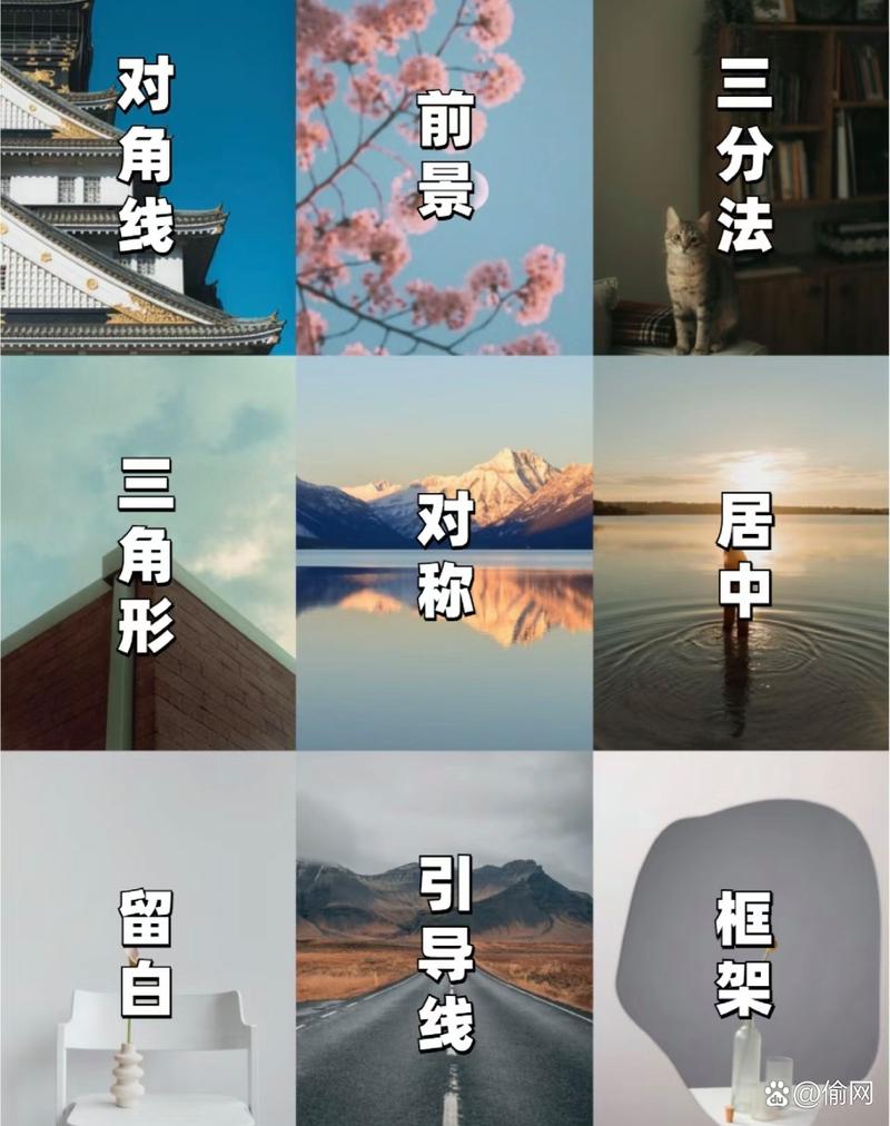 ps常见得10种构图方法，图片裁剪需要注意什么