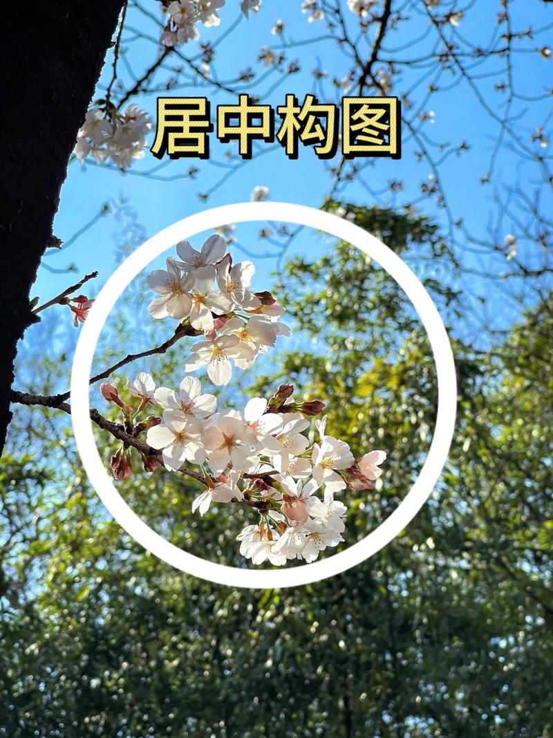 垂直构图的优缺点有哪些？水平构图有什么区别