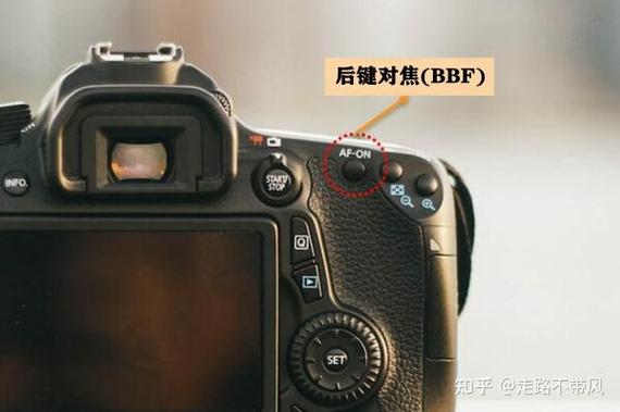 单反拍出来的照片模糊怎么设置?在哪里调参数