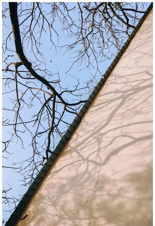 对角线构图摄影技巧，主要体现什么